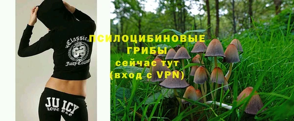 бошки Арсеньев
