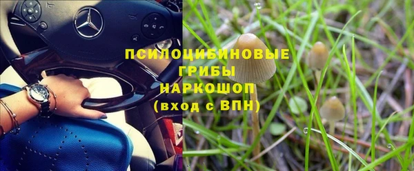 бошки Арсеньев