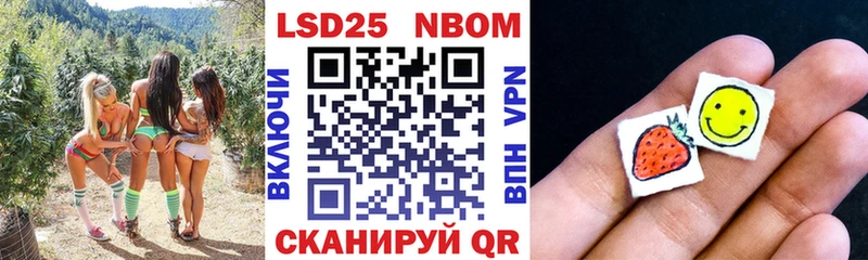 купить наркотики сайты  Асино  Наркотические марки 1,8мг 