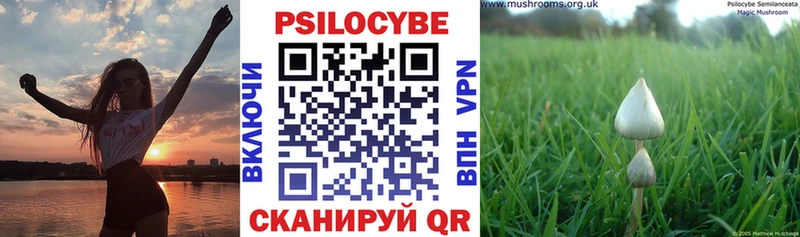 Галлюциногенные грибы Psilocybe  как найти   Асино 