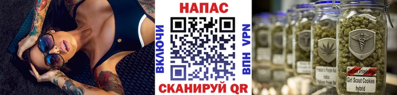 mega как войти  Асино  Канабис OG Kush 